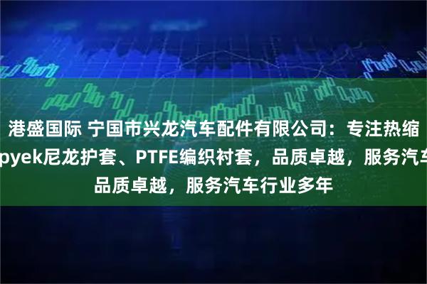 港盛国际 宁国市兴龙汽车配件有限公司：专注热缩布护套、tpyek尼龙护套、PTFE编织衬套，品质卓越，服务汽车行业多年