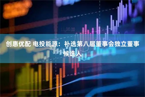 创惠优配 电投能源：补选第八届董事会独立董事候选人